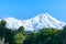 Stunning white snowcapped Mount Egmont above evergreen native bush and below clear blue sky