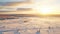 Stunning Winter Sunrise Aerial Landscape With Snow And Pine Trees