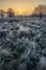 Stunning Winter sunrise landscape image at dawn with hoarfrost on the plants and trees with golden hour sunrise light