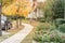 Stunning yellow fall foliage color at new residential neighborhood in suburban Dallas, Texas