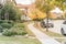 Stunning yellow fall foliage color at new residential neighborhood in suburban Dallas, Texas