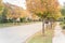 Stunning yellow fall foliage color at new residential neighborhood in suburban Dallas, Texas