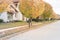 Stunning yellow fall foliage color at new residential neighborhood in suburban Dallas, Texas