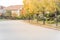 Stunning yellow fall foliage color at new residential neighborhood in suburban Dallas, Texas