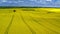 Stunning yellow rape fields and white turbine from above, Poland