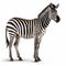 Stunning Zebra Artwork With Xbox 360 Graphics And Uhd Image