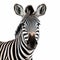 Stunning Zebra Portrait Captivating Imagery With Subtle Irony