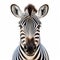 Stunning Zebra Portrait: Symmetrical Design With Explosive Pigmentation