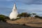 The stupa adjoining Mudu Maha Vihara near Pottuvil on the east coast of Sri Lanka.