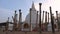 At the stupa of the ancient Dagoba Thuparama. Anuradhapura, Sri Lanka