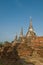 Stupas (chedis) of a Wat in Ayutthaya
