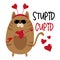 Stupid Cupid - funny phrase with cupid cat