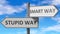 Stupid way and smart way as a choice, pictured as words Stupid way, smart way on road signs to show that when a person makes