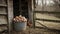 a sturdy bucket brimming with freshly collected eggs, nestled beside the picket fence of a rustic chicken coop