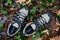 Sturdy Hiking Boots in Puddle on Forest Trail