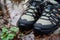 Sturdy Hiking Boots in Puddle on Forest Trail