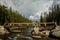 Sturdy Wooden Bridge over the Tuolumne River