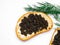 Sturgeon black caviar sandwich on white background