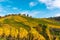 Stuttgart Germany Grabkapelle Vineyards Autumn Fall Season Beaut