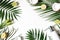 Styled beauty frame, web banner. Skin cream, soap bottle, coconut, lemons and lime fruit on lush palm leaves. White