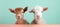 Styled happy goats on pastel color background studio fashion shot with copy space for text placement