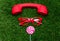 Styled red glasses with lollipop and handset on green grass back