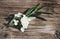 Styled stock photo. Feminine floral still life composition. Closeup of green olive branch and white hydrangea flowers