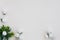 Styled stock photo. Feminine wedding desktop mockup. White roses, satin ribbon, beads on delicate beige background. Copy