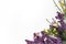 Styled stock photo. Spring botanical scene, floral composition. Decorative banner, corner made of purple lilac, yellow