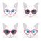 Stylised cat faces with fashionable trendy glasses