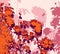 Stylised vector illustration with silhouettes of flowers in warm tones, orange, purple and pink â€“ decorative pattern