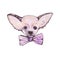 Stylised watercolor portrait chihuahua with pink bow on neck