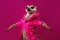 stylish adorable meerkat dressed as a dancer against a magenta pink background, Generative AI