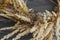 Stylish autumn rustic wreath close up. Creative boho wreath with dry pampas grass, tansy wildflowers, wheat on dark wooden table.