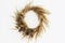 Stylish autumn rustic wreath isolated on white. Creative boho wreath with dried pampas grass, tansy wildflowers, wheat, dog-rose