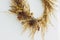 Stylish autumn rustic wreath isolated on white, details close up. Creative boho wreath with dried pampas grass, wildflowers, wheat