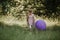 Stylish baby girl 2-5 year old holding big balloon wearing trendy pink dress in meadow. Playful