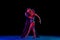 Stylish ballroom dancers couple in gorgeous outfits dancing in sensual pose on dark background in neon light. Concept of