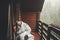 stylish bearded man relaxing on wooden porch among forest in rainy mountains. hipster guy resting in blanket, sitting on cottage