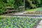 Stylish bench in summer park