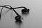 Stylish Black Earphones on Brushed Steel Background