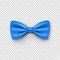Stylish blue bow tie from satin