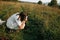 Stylish boho girl taking photo on film analog photo camera of grass and wildflowers in sunny meadow at sunset. Happy hipster woman