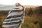 Stylish boho girl walking in sunny light at atmospheric sunset in meadow. Happy hipster woman in poncho and hat enjoying traveling