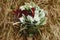 stylish boho rustic bouquet on background of rocks at mountains, luxury wedding arrangements