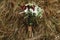 stylish boho rustic bouquet on background of rocks at mountains, luxury wedding arrangements