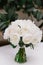 A stylish bouquet for brides made of buds of white round-shaped pioneers