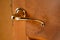 Stylish brass door handle