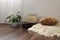 Stylish brightly part of living room with old vintage suitcase, books, potted plant and woolen handmade blanket