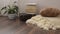 Stylish brightly part of living room with old vintage suitcase, books, potted plant and woolen handmade blanket on luxury wooden f